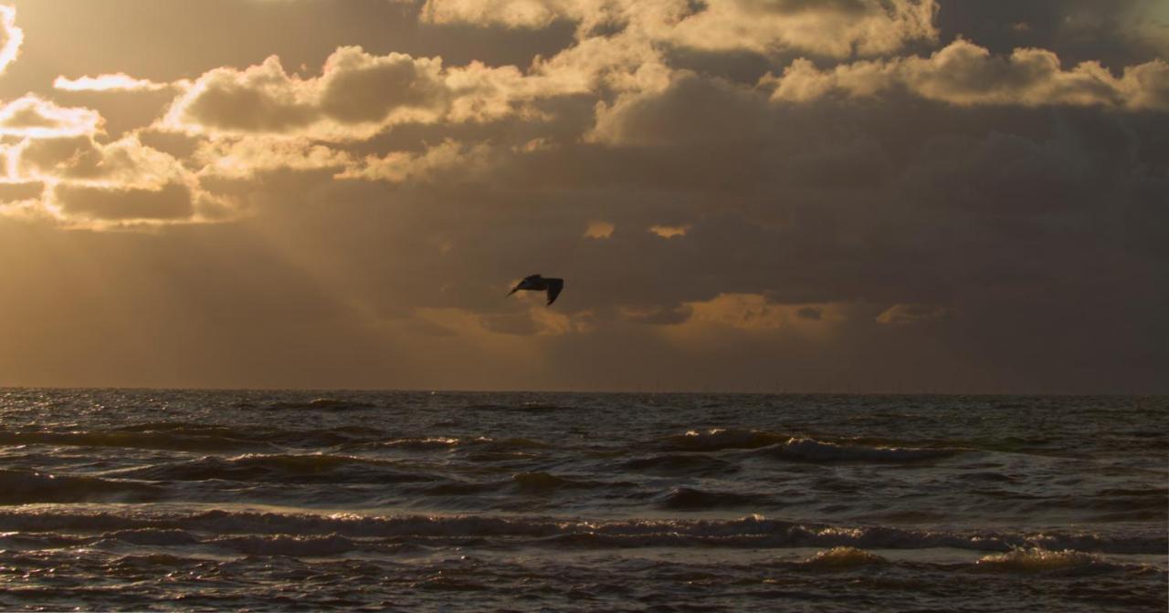 Perfect Stay Holiday, Moment At Sea Egmond aan Zee Exterior foto